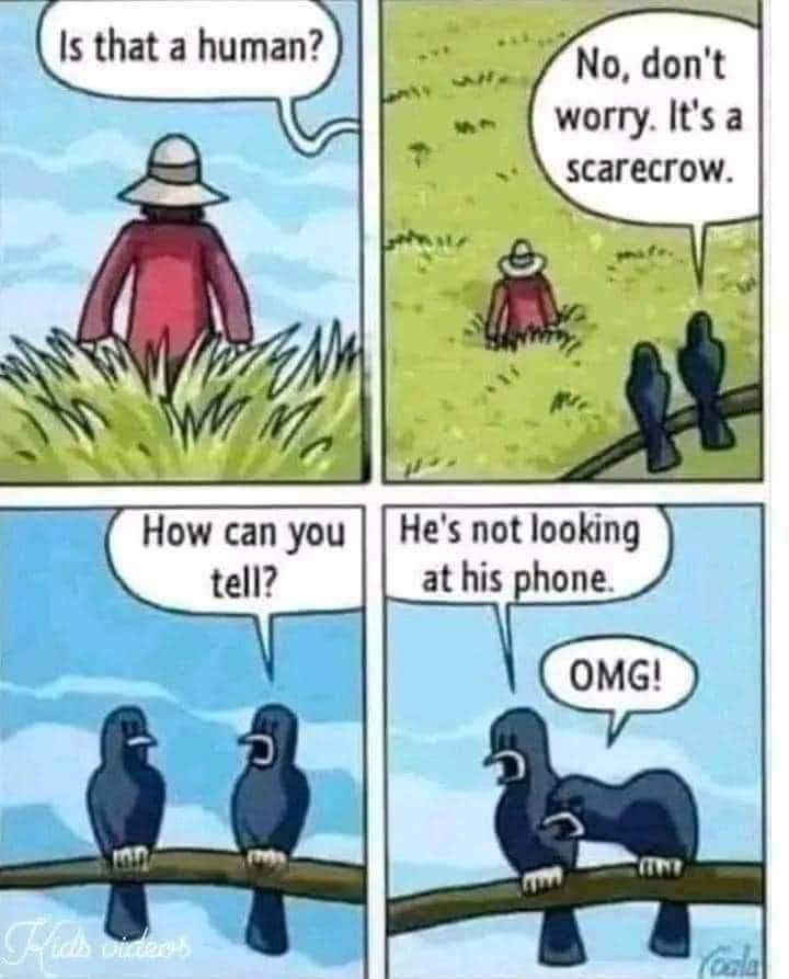 FB_IMG_1692446846296