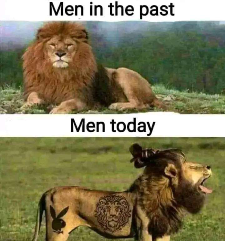 FB_IMG_1693241596718